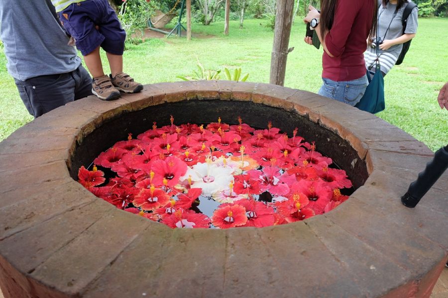 Wishing Well at Bahay Ni Lola, Eden Nature Park, Davao City