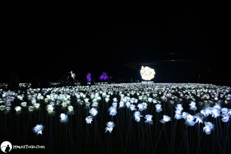 10000-Roses Cordova, Cebu City