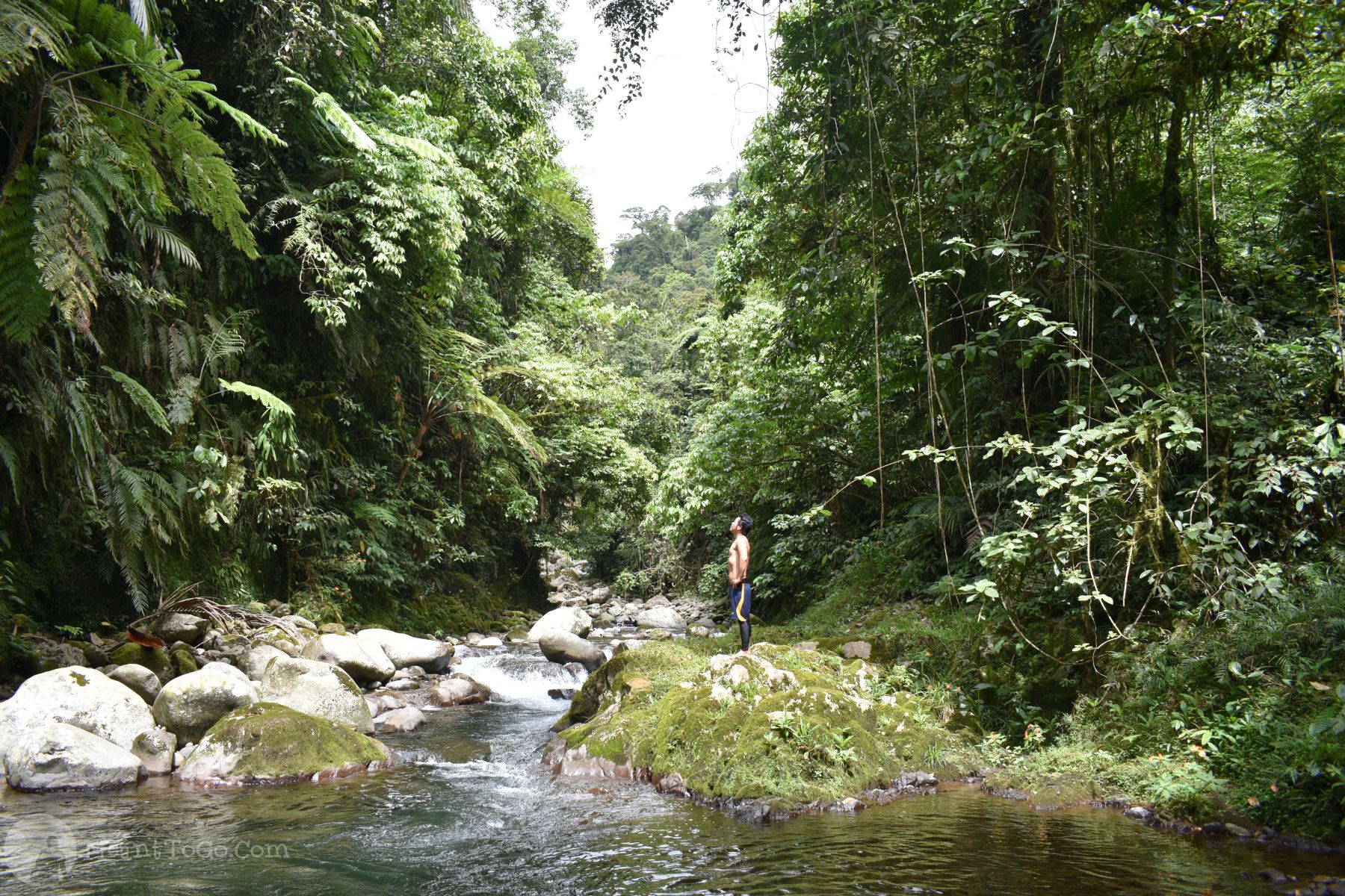 calinan davao city tourist spot