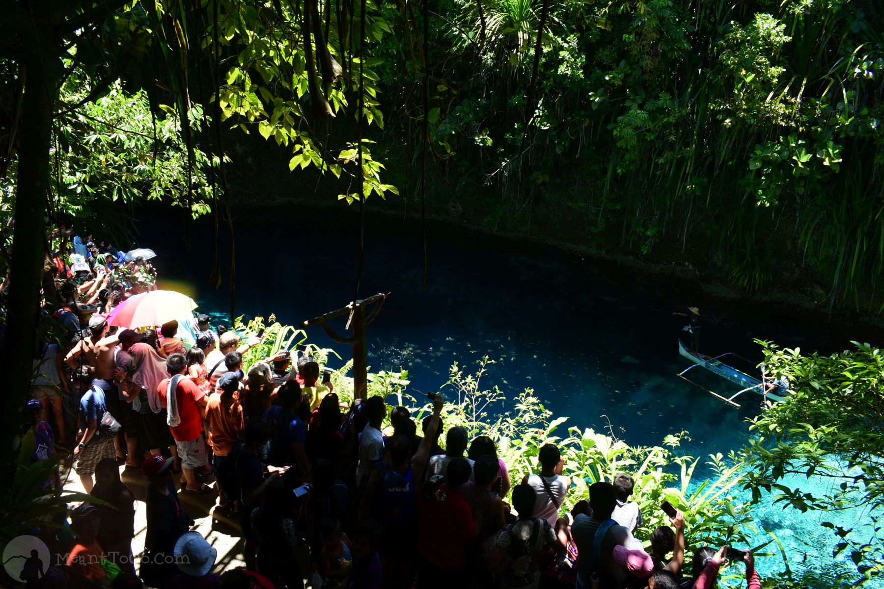 Enchanted River Fish-Feeding