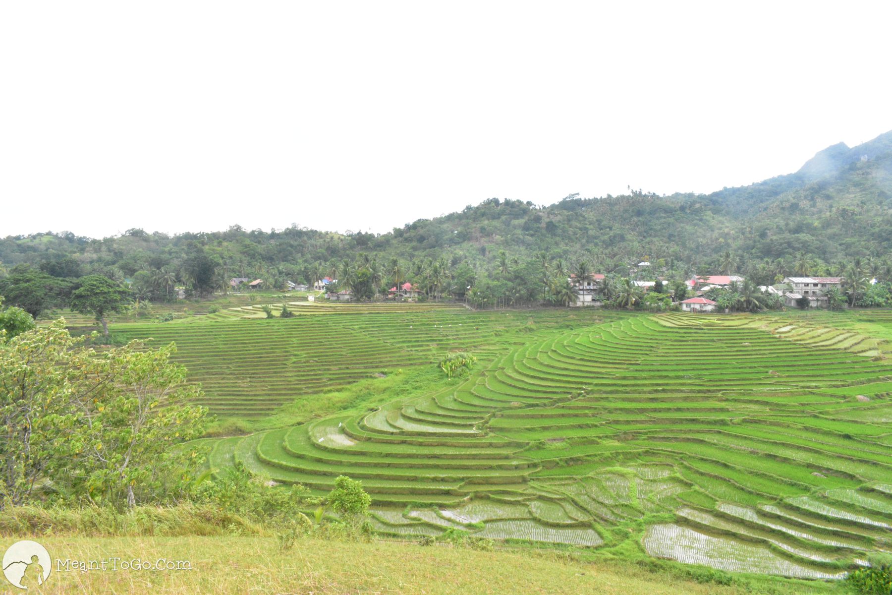 Cadapdapan Rice Terraces, Candijay, Bohol, Philippines