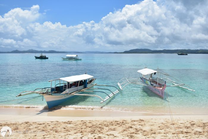 tourist van siargao airport