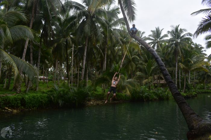 Coconut Swing, Maasin River, Siargao