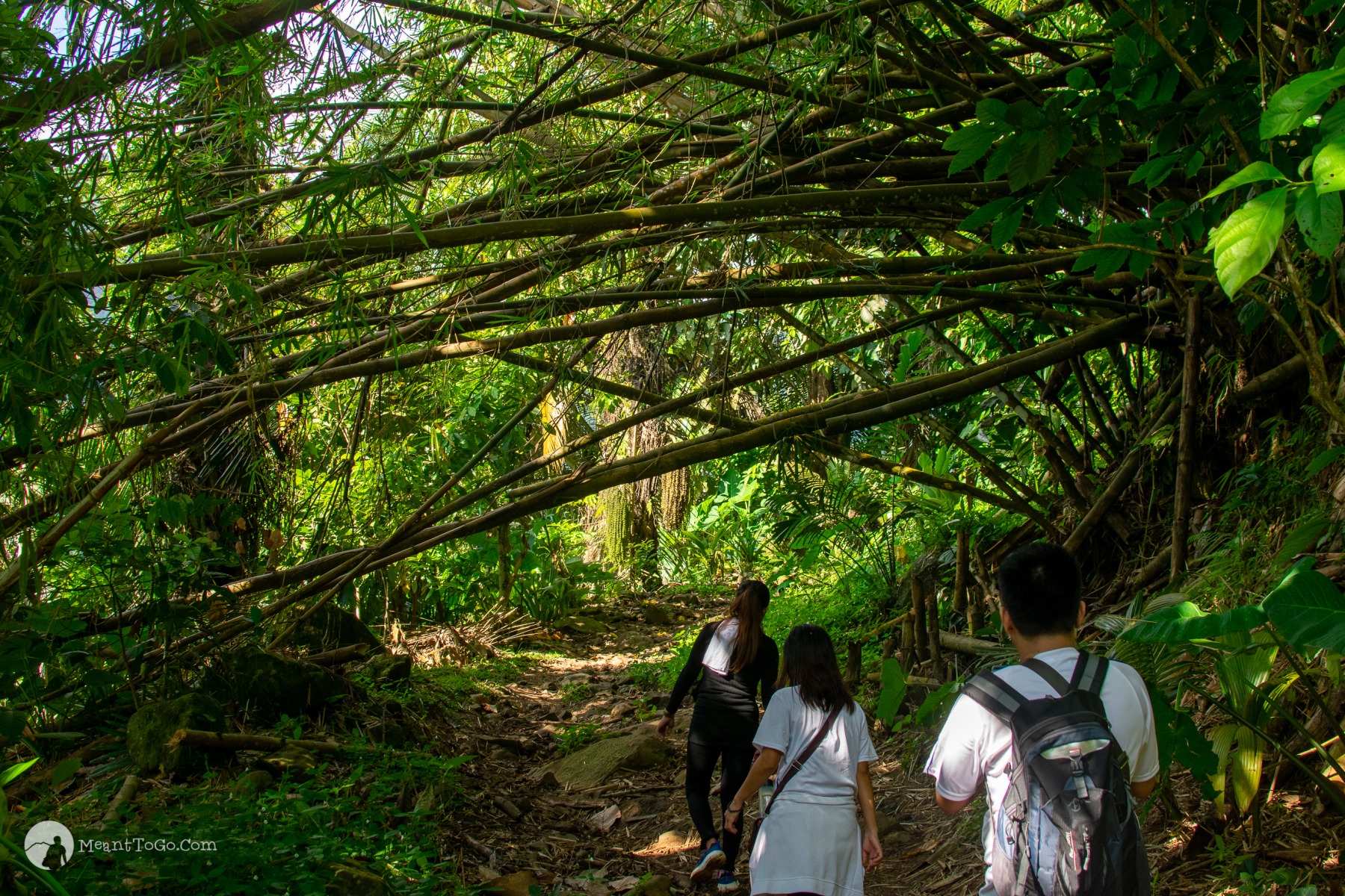 One of the trails of Mount Dinor in Santa Cruz, Davao del Sur