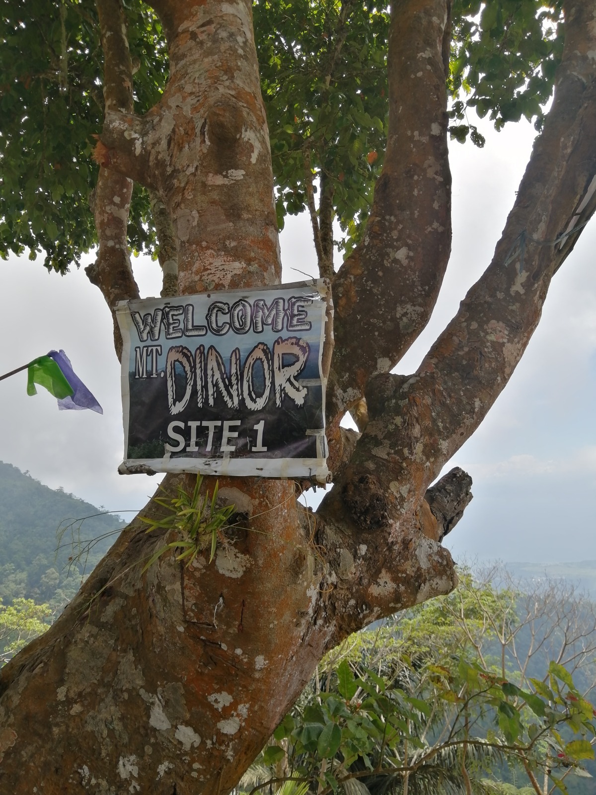 Marker for campsite 1 at Mount Dinor