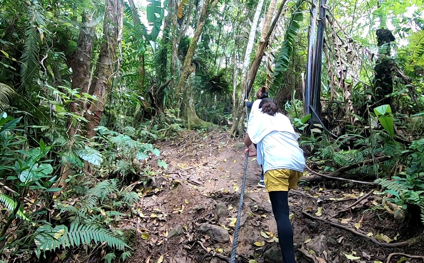 The trail near the summit of Mount Dinor in Santa Cruz, Davao del Sur