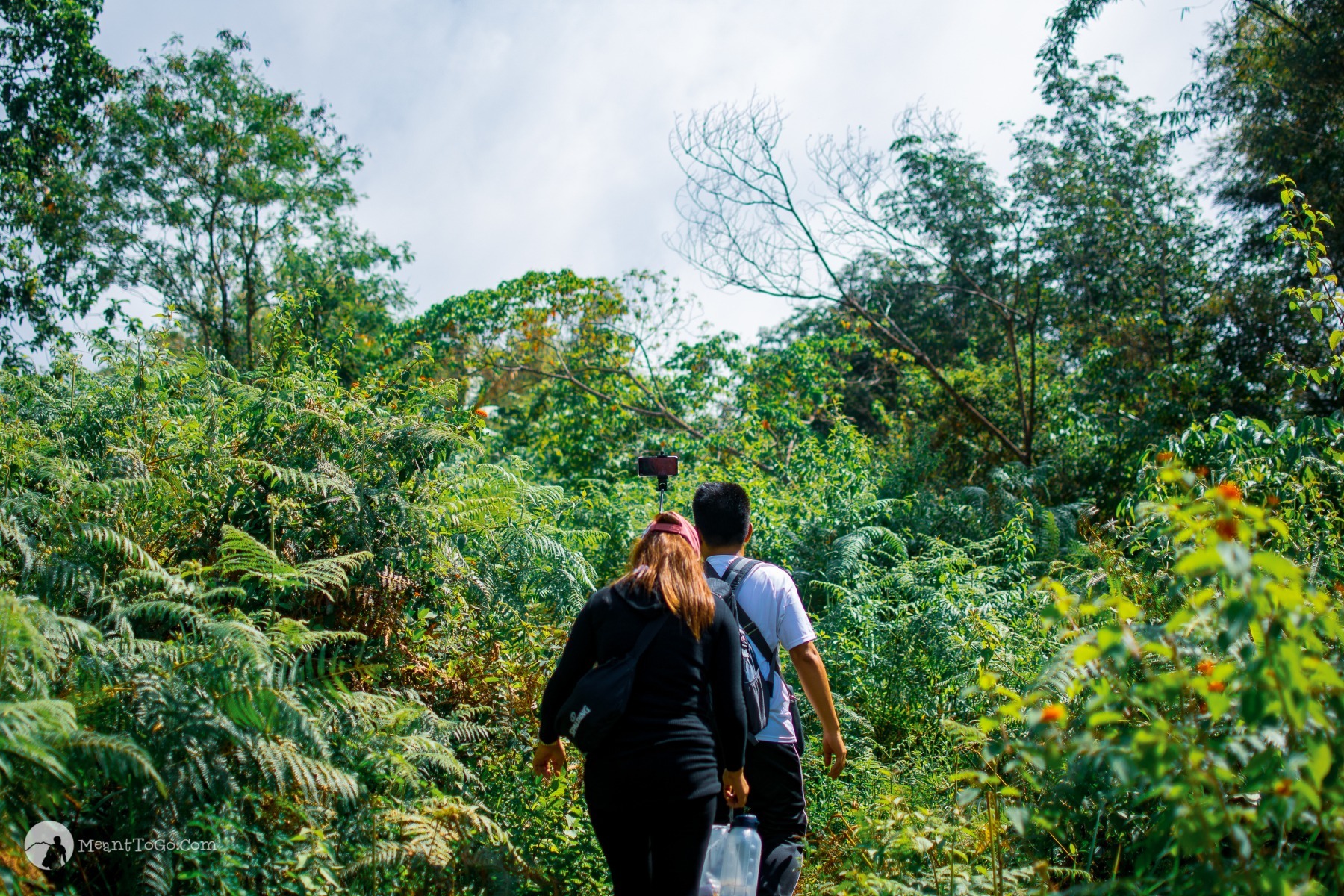 Mount Dinor grassland trail