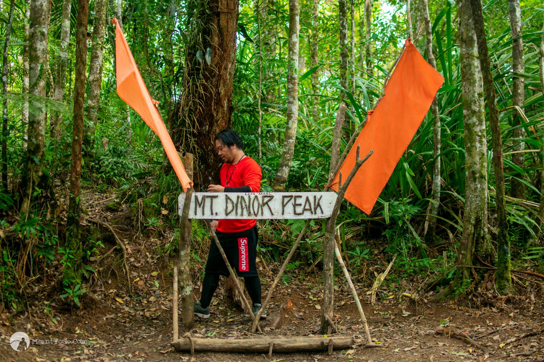 Mount Dinor Peak in Santa Cruz, Davao del Sur