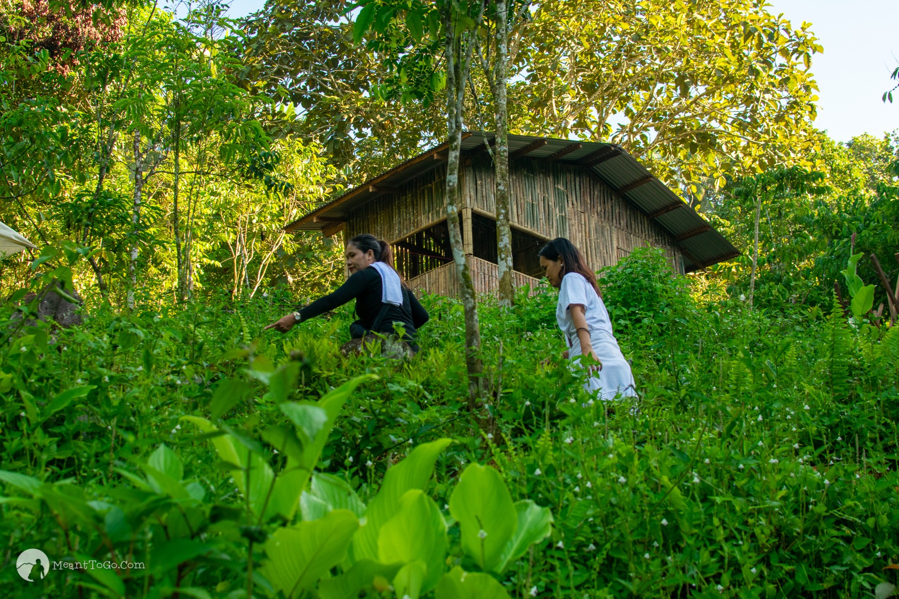 Trail going to mount dinor in Santa Cruz, Davao del Sur