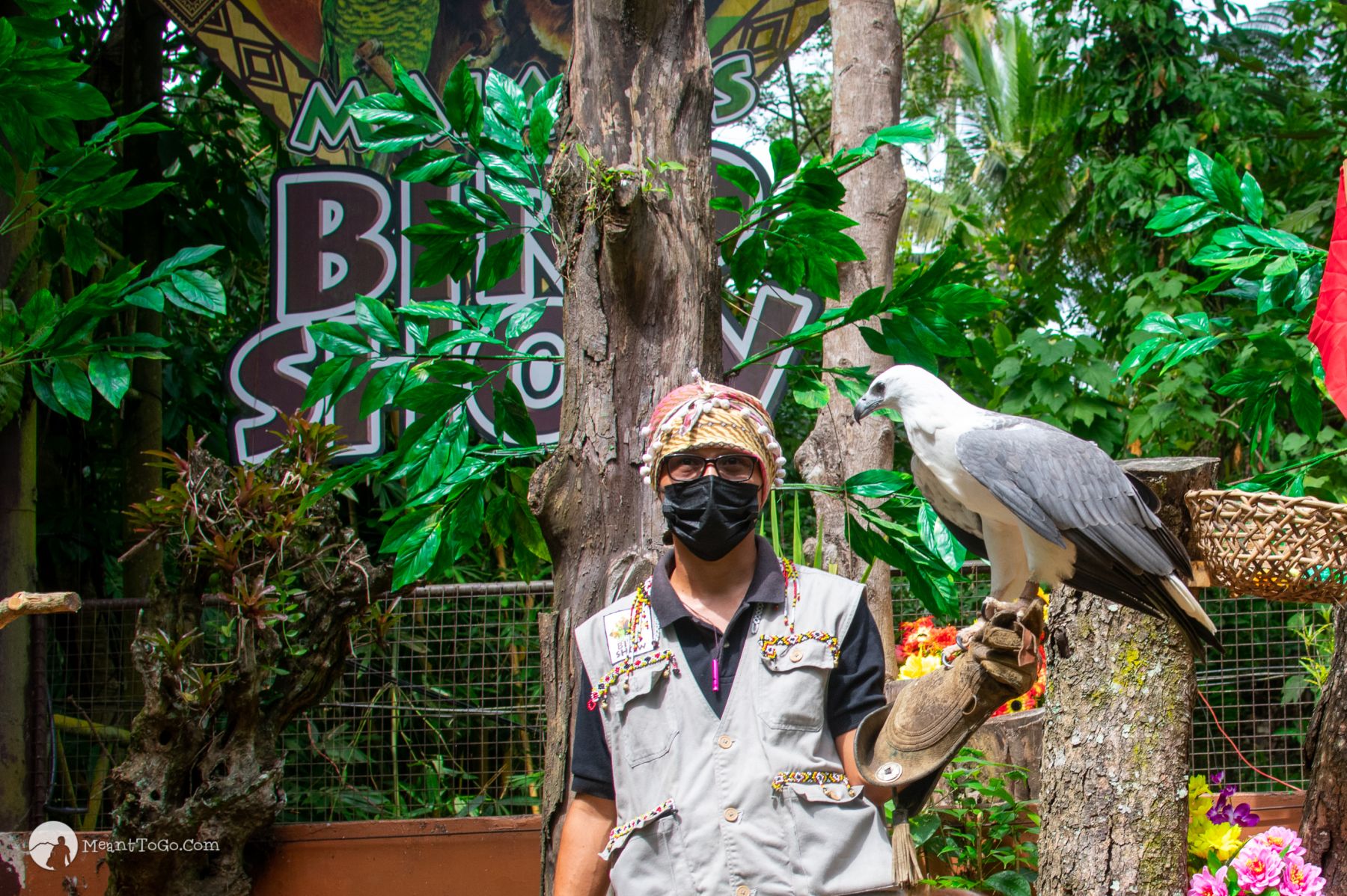 Bird show at Malagos Garden Resort