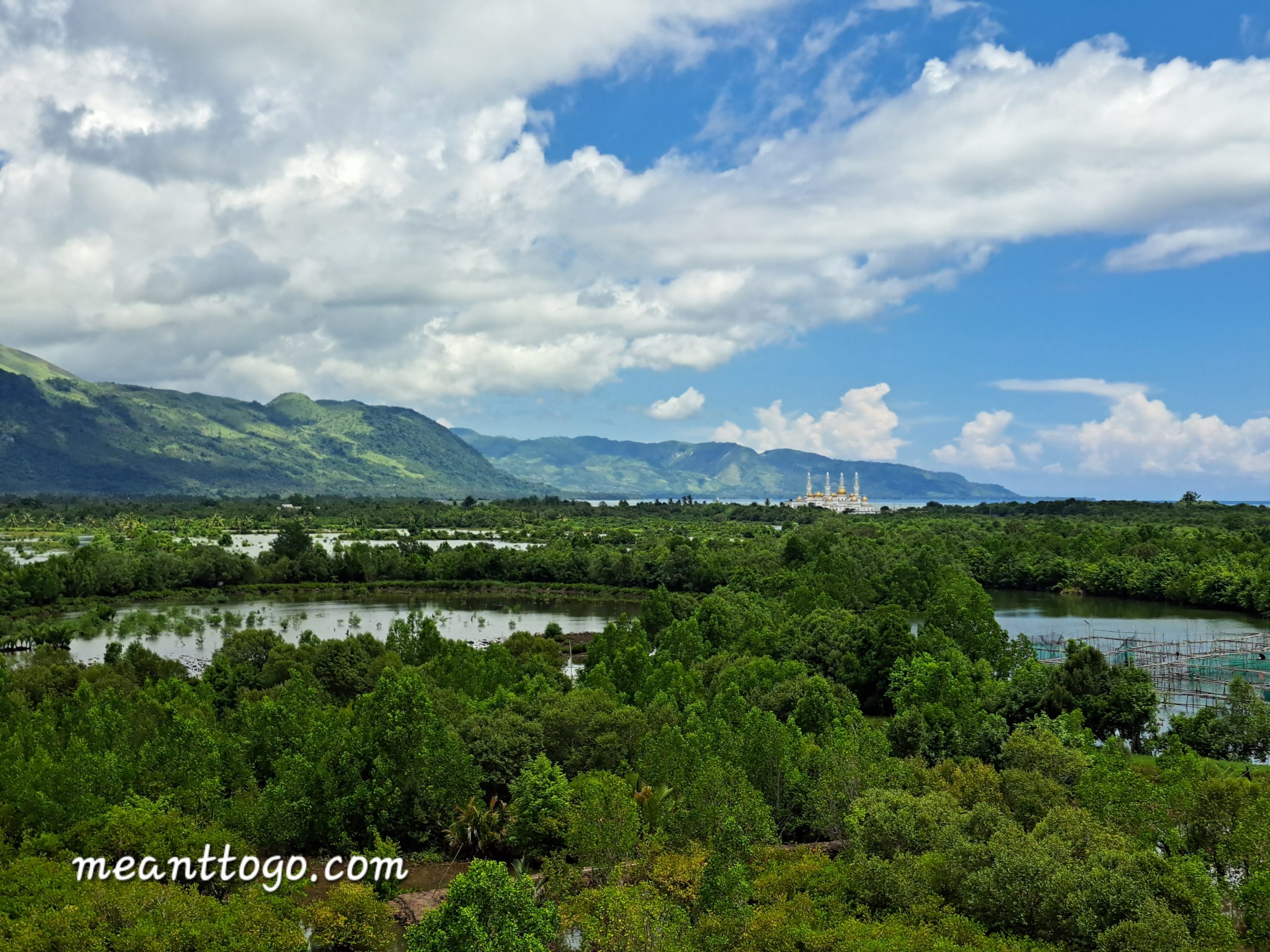 A mangrove forest in Timako, Cotabato City