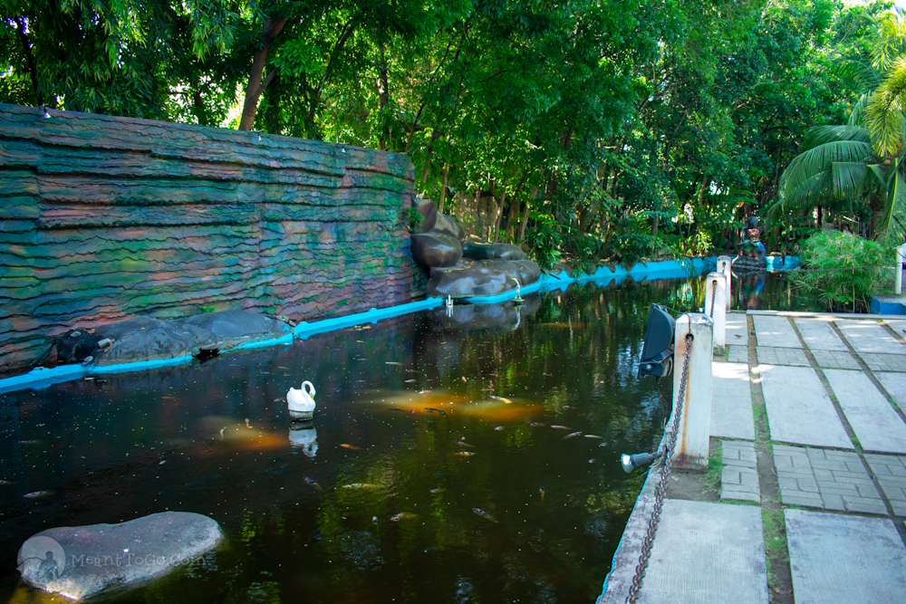 The Koi Pond at People's Park Davao